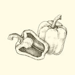 CAPSICUM