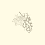GRAPE EXTRACT