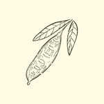 GUAR