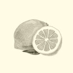 LEMON EXTRACT