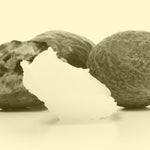 SHEA BUTTER